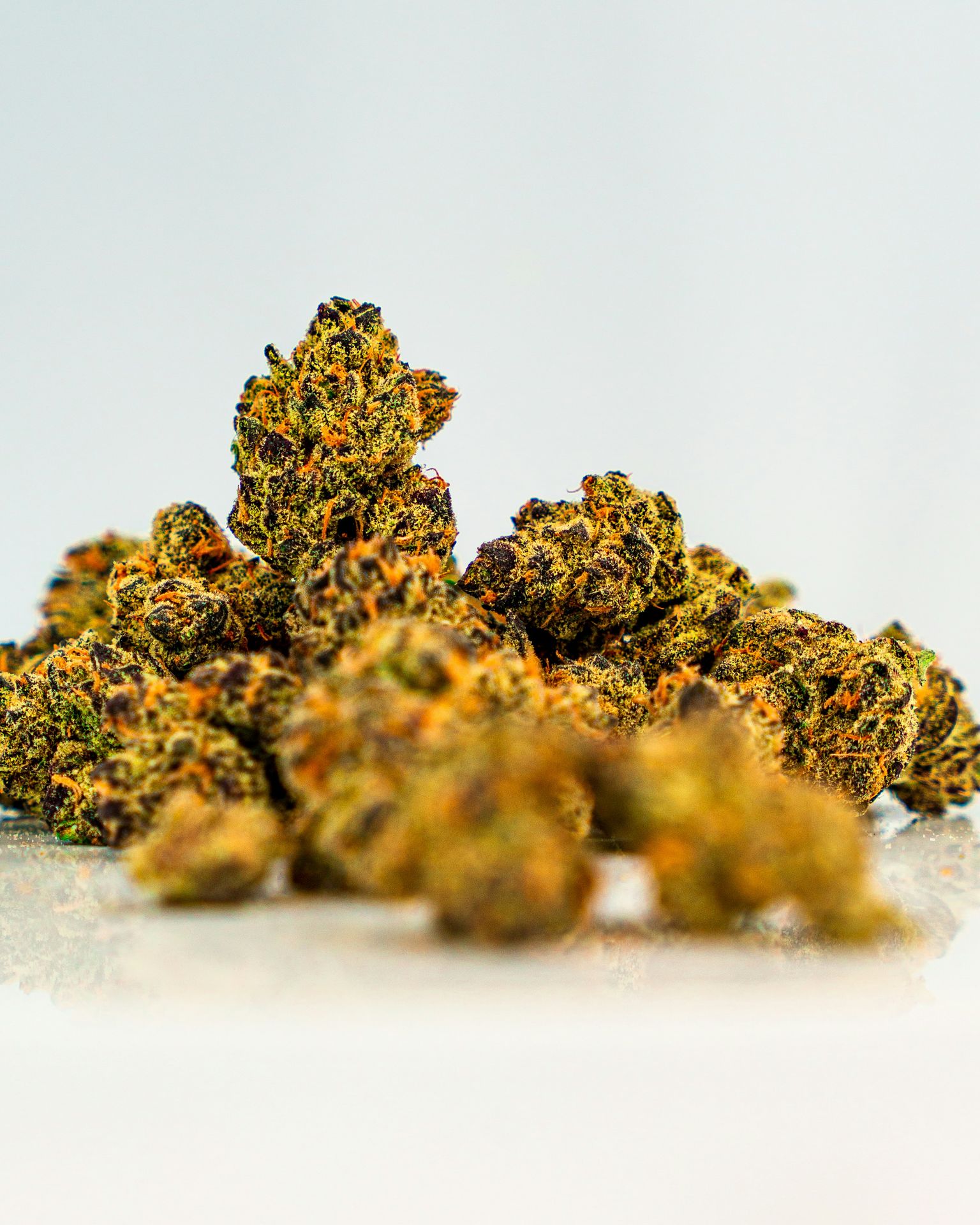 Gros plan fleur de cannabis CBD Skittlez - CBD