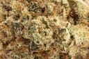 Lemonade Premium Indoor CBD Flowers 