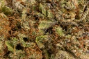 Northern Lights Premium Indoor CBD Flowers 