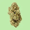 Royal Haze Premium Indoor CBD Flowers 