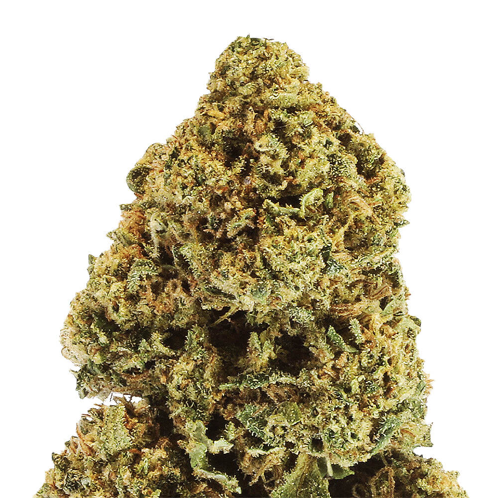 Candy Kush Premium Green House CBD Flowers 
