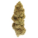 Durban Poison Premium Green House CBD Flowers 