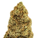 Durban Poison Premium Green House CBD Flowers 