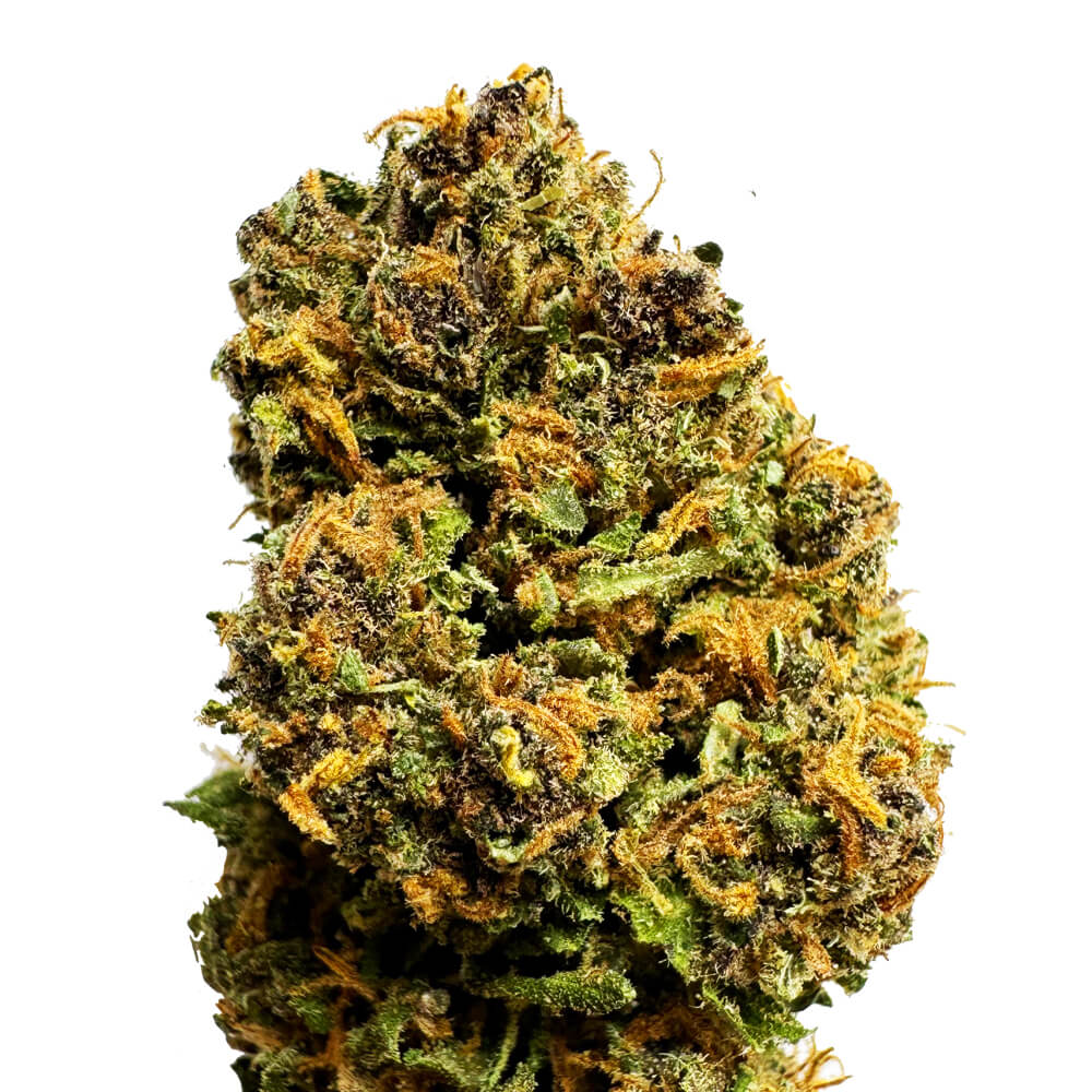 Pink Panther Premium Glass House CBD Flowers