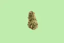 Super Silver Haze Premium Indoor CBD Flowers