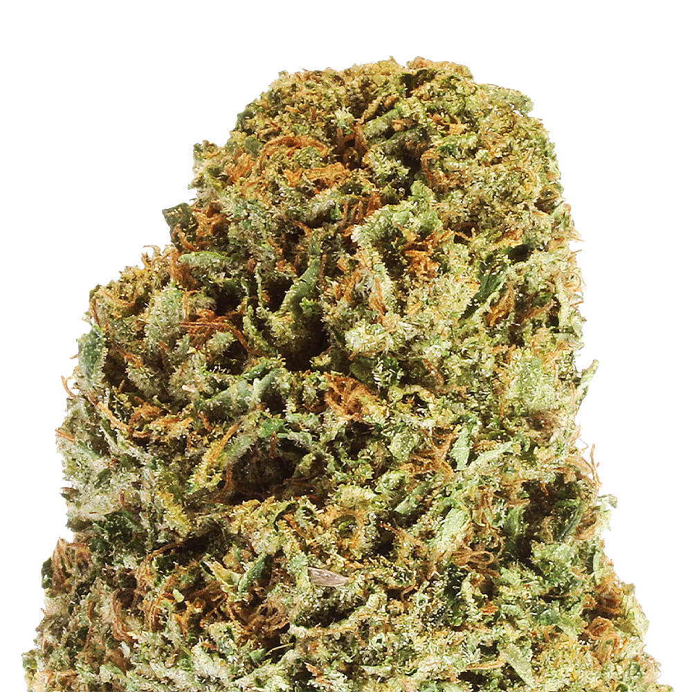 Bubba Kush Premium Glass House CBD Flowers 