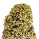 Bubba Kush Premium Glass House CBD Flowers 