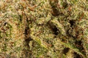Super Silver Haze Premium Indoor CBD Flowers