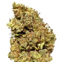 Lemon Haze Premium Green House CBD Flowers 