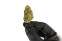 Bubblegum Premium Green House CBD Flowers 