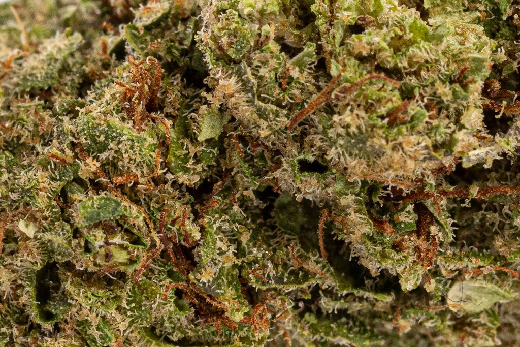Bubblegum Premium Green House CBD Flowers 