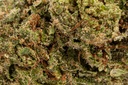 Bubblegum Premium Green House CBD Flowers 