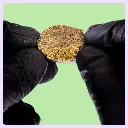 Piatella CBD Hash