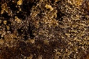 Piatella CBD Hash