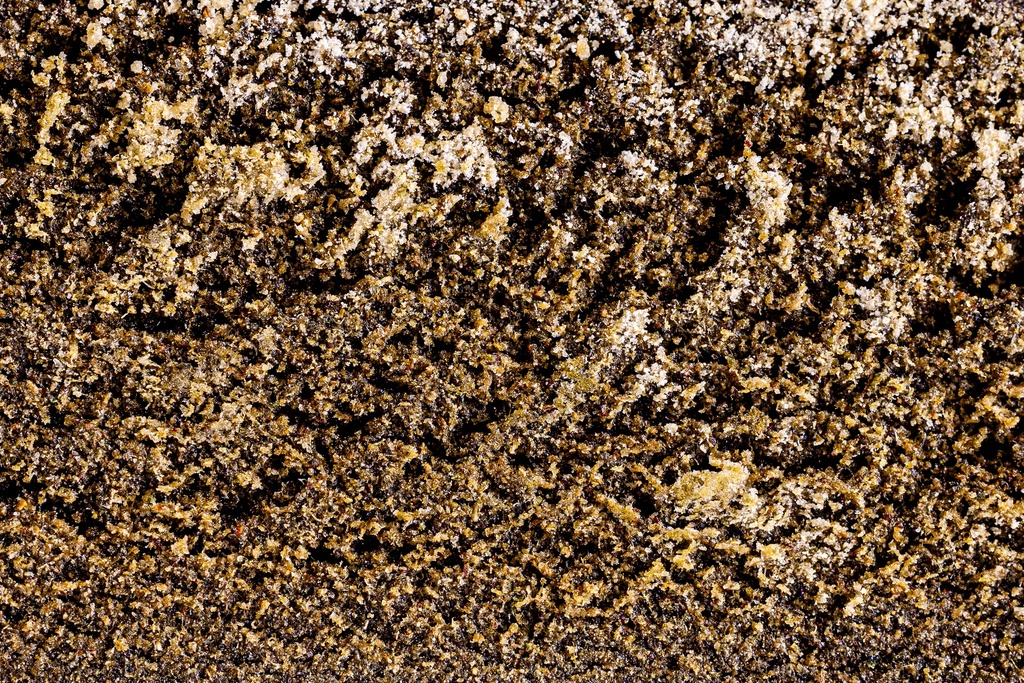 Fresh Frozen CBN Hash