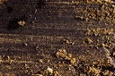 Pure Afghan CBD Hash