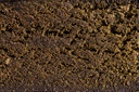Morocco Jelly CBD Hash