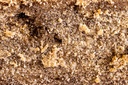 Bubble CBG Hash
