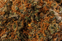 Blueberry Muffin Premium Indoor CBD Flowers 