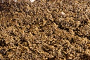 Morocco CBD Hash