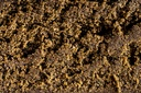 Manala Cream CBD Hash