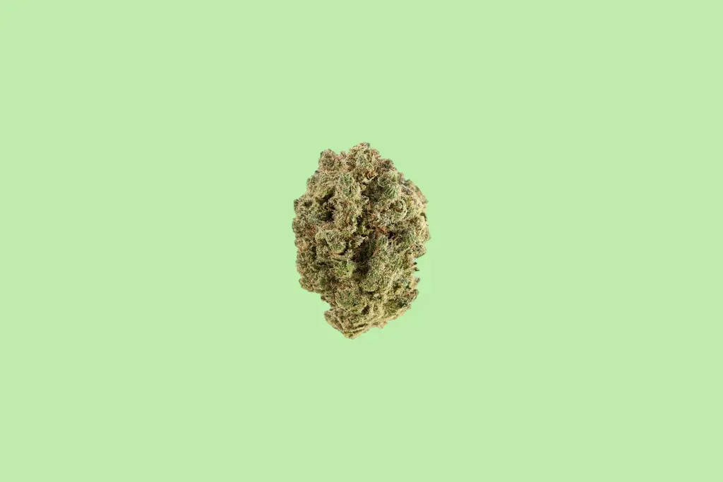 Rainbow Gelato Premium Indoor CBD Flowers 