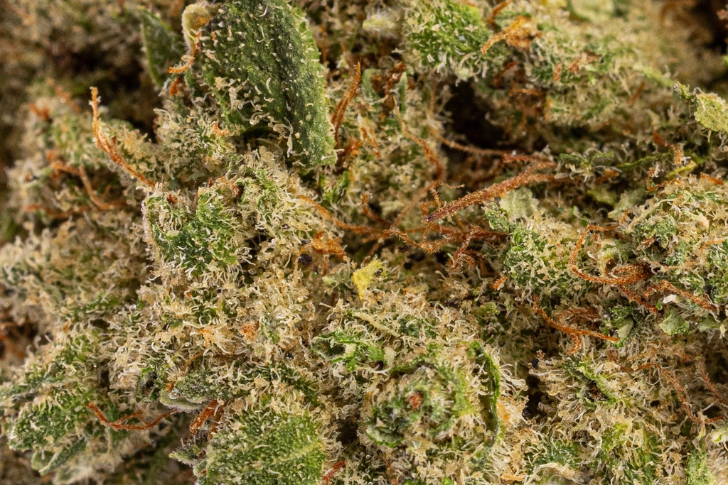 Rainbow Gelato Premium Indoor CBD Flowers 
