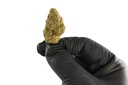 Cheesecake Premium Indoor CBD Flowers 
