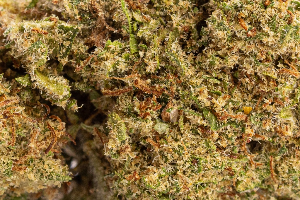 Cheesecake Premium Indoor CBD Flowers 