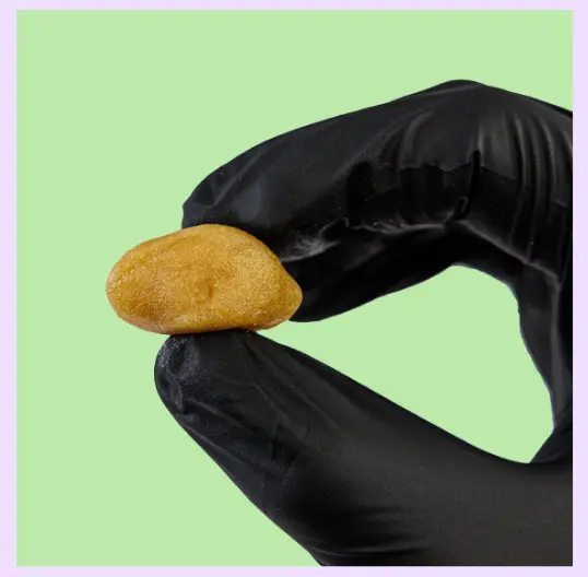  Sugar Wax CBD Extract with Live Cannabis Terpenes 