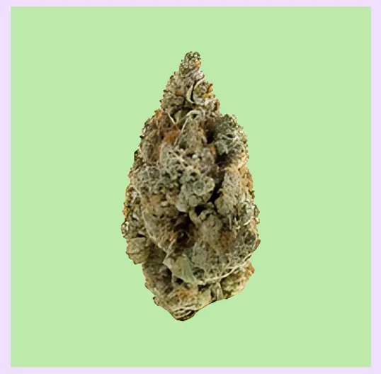 Banana Runtz Premium Indoor CBD Flowers 