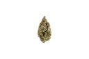 Banana Runtz Premium Indoor CBD Flowers 