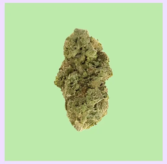 Bubblegum Premium Green House CBD Flowers 