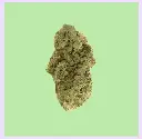 Bubblegum Premium Green House CBD Flowers 
