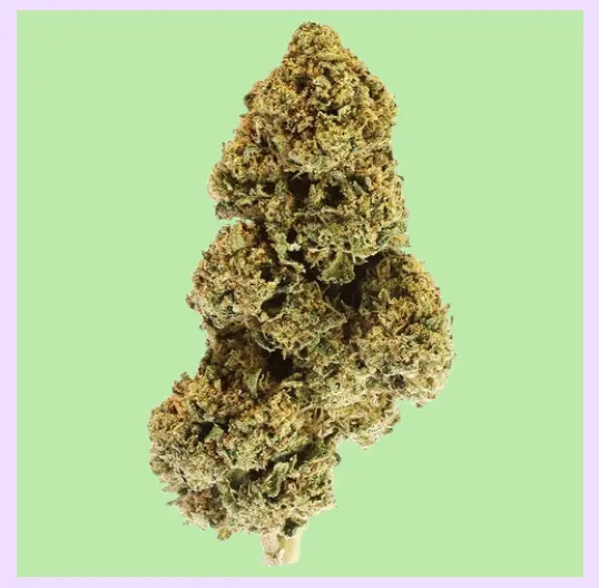 Candy Kush Premium Green House CBD Flowers 