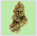 Candy Kush Premium Green House CBD Flowers 