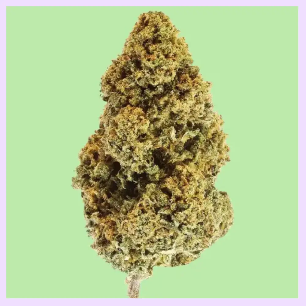 Fruit Cake Premium Green House CBD Flowers 
