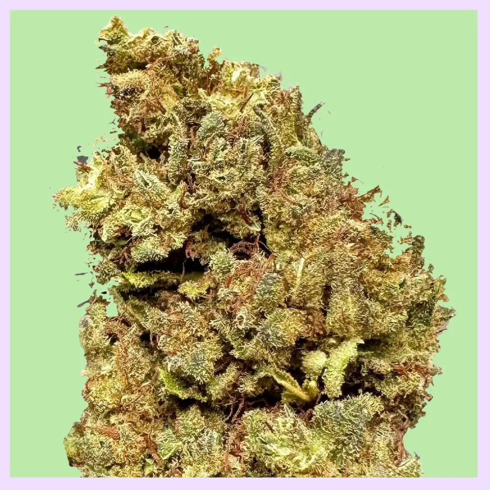 Lemon Haze Premium Green House CBD Flowers 