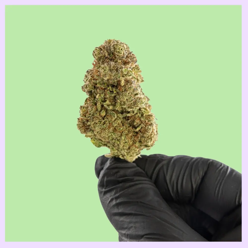 Northern Lights Premium Indoor CBD Flowers 