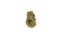 Northern Lights Premium Indoor CBD Flowers 