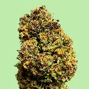 Pink Panther Premium Glass House CBD Flowers