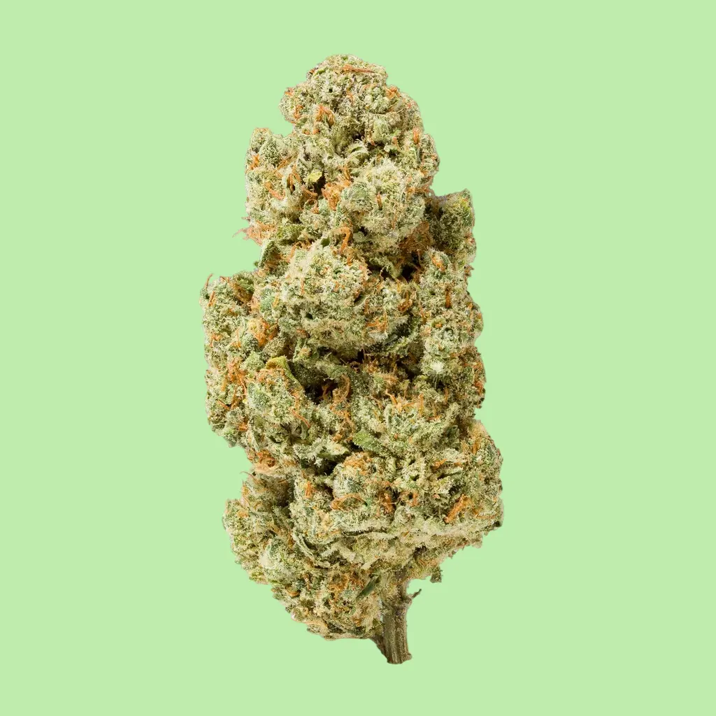 Royal Haze Premium Indoor CBD Flowers
