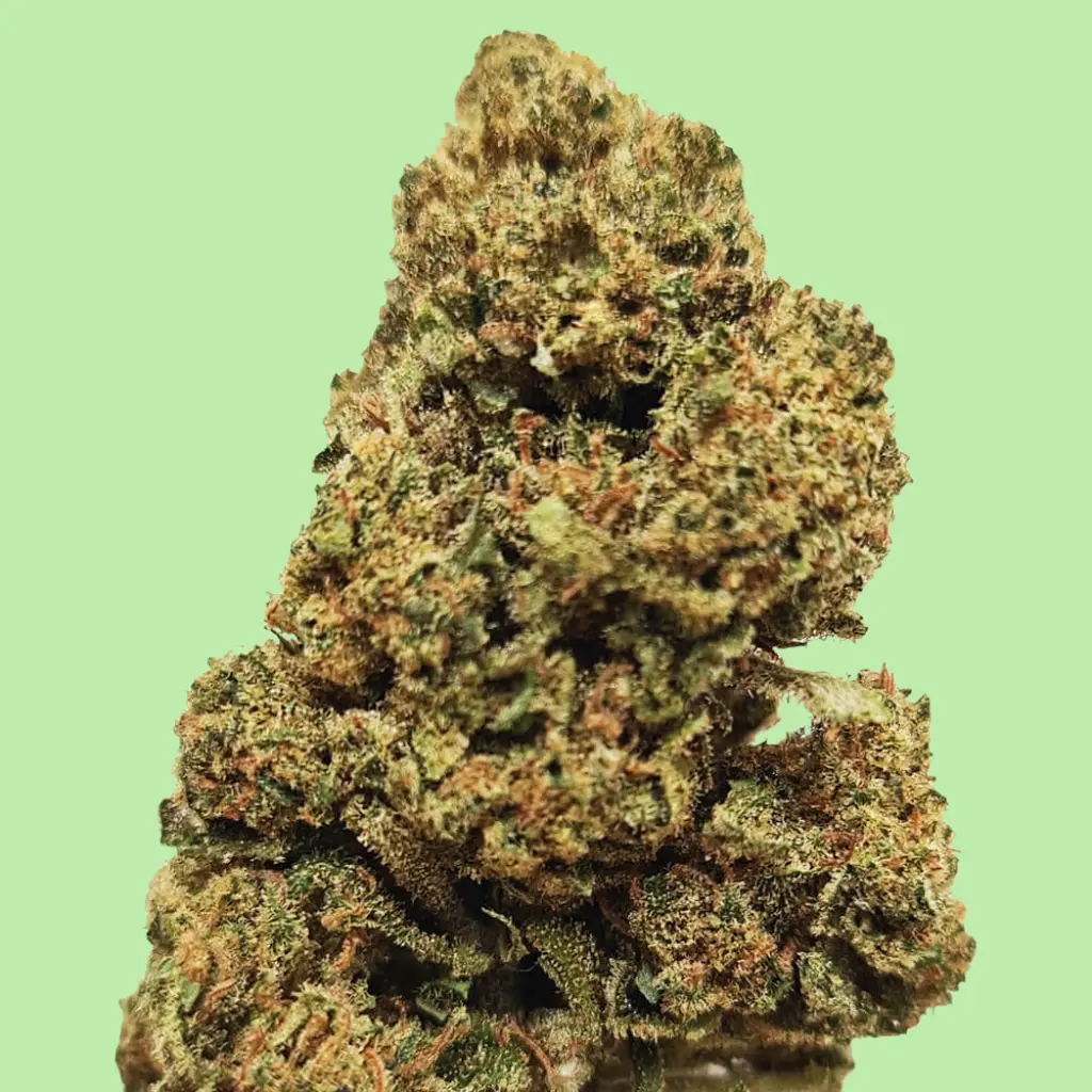 Tangie Premium Green House CBD Flowers