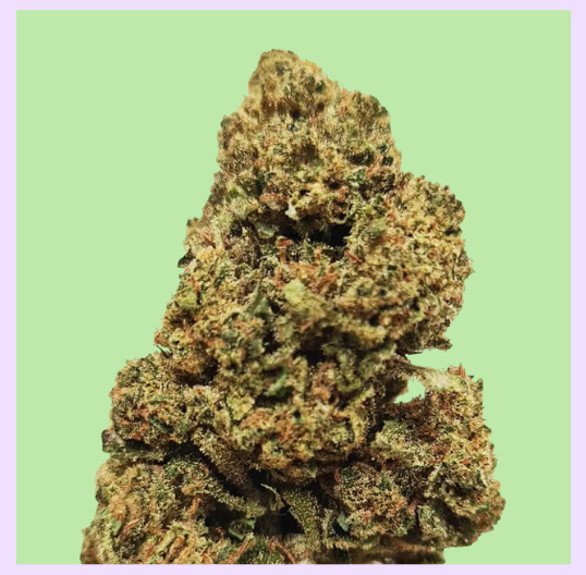 Tangie Premium Green House CBD Flowers