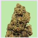 Tangie Premium Green House CBD Flowers