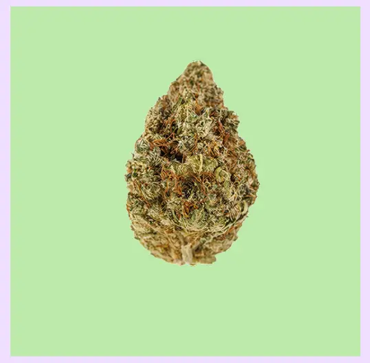 White Fire OG Premium Indoor CBD Flowers 