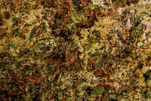 Ice Cream Cake Premium Indoor CBD Flowers 