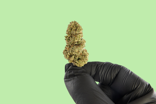 Super Silver Haze Premium Indoor CBD Flowers